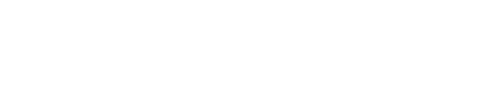 Present Store
